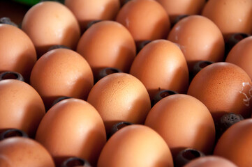 Chicken eggs in the market prepared for sale. 