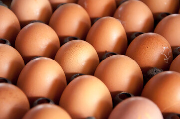 Chicken eggs in the market prepared for sale. 