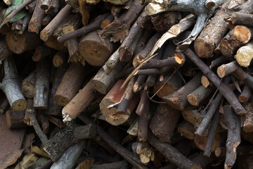 wood for fuel in winter 