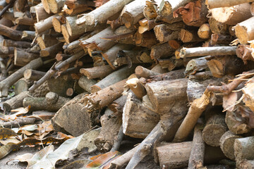 wood for fuel in winter 