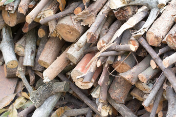 wood for fuel in winter 