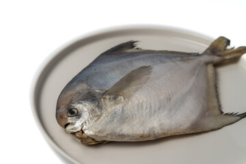 white pomfret on a white background