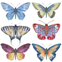 Fototapeta na wymiar A set of bright, watercolor butterflies, isolated on a white background.