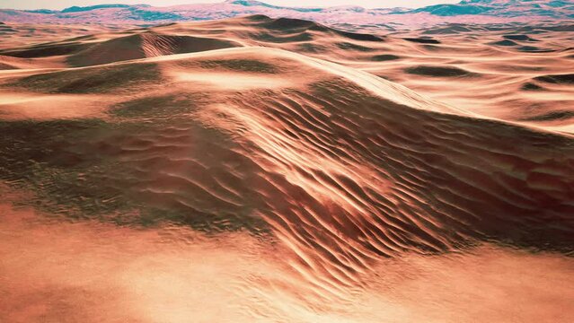 wide and wild landscape of the Arabic sand desert