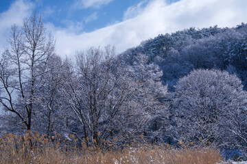 雪の積もった山道と青空