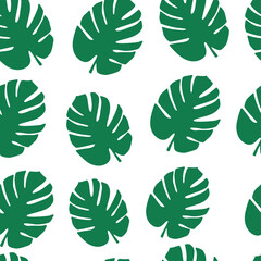 Fototapeta na wymiar seamless pattern green monstera leaves on white background