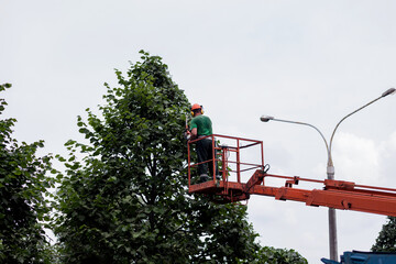 man with a chainsaw, standing on a platform