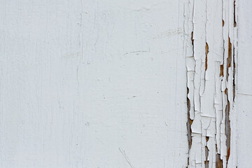  Background of old aged rough white painted wooden boards close up