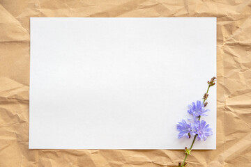 top view of a white sheet of paper resting on crumpled beige paper, at the bottom on the edge of a chicory flower