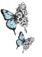 Assorted Butterfly Drawing Outline Aesthetic, Butterfly Vector Unique Pattern, Sketch Line art Hand Drawn
