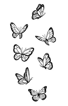 Assorted Butterfly Drawing Outline Aesthetic, Butterfly Vector Unique Pattern, Sketch Line art Hand Drawn