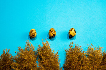 quail eggs flying over the reeds on a blue background 