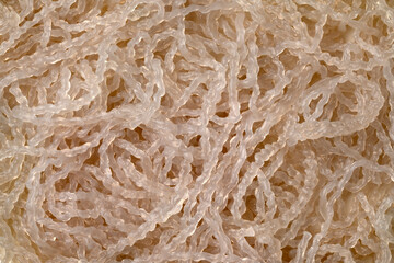 Cooked Korean sweet potato noodles close up full frame as background