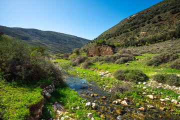 Fototapeta na wymiar Old flour mill in Dishon river in the upper Galilee in Israel.