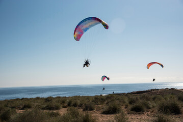 Motorized paragliders flying over the coast