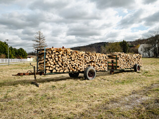 Ranger´s Truck Trailer of cut wood on the country side