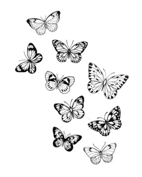 Assorted Butterfly Drawing Outline Aesthetic, Butterfly Vector Unique Pattern, Sketch Line art Hand Drawn
