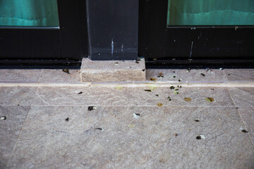 Bird droppings that fall on the tiled floor.