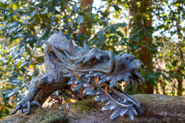 dragon in the park