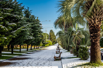 First snow in Batumi Georgia