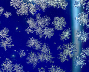 Large white snowflakes on a blue frosty background