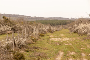Fototapeta na wymiar rustic fence in the kuartango valley in northern spain