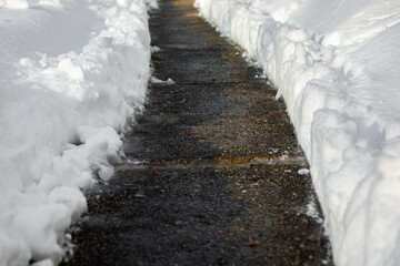 Shoveled sidewalk in a suburban neighborhood cleared after a winter snow storm with piles of fresh...
