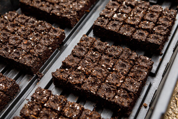 Small sized soil blocks formed with a soil blocking tool for sowing and germinating seeds without...