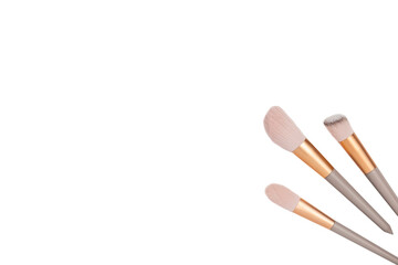 Professional makeup brushes on white. Top view, copy space