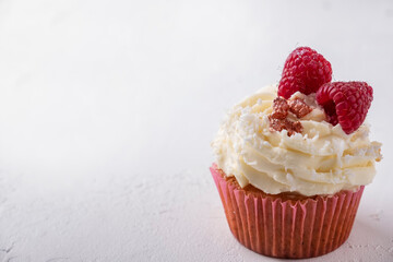 Delicious cupcake with raspberry. Text space