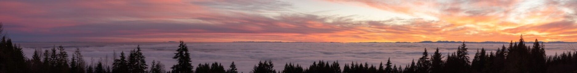 Fototapeta na wymiar Canadian Nature Panorama View of Evergreen Trees on a mountain above the clouds. Dramatic Winter Sunset. Taken at Cypress Lookout, Vancouver, British Columbia, Canada. Panoramic Background