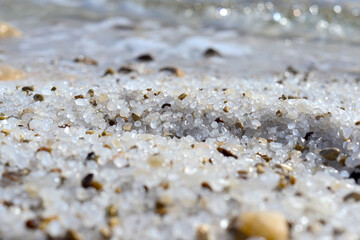 Close up of salt background. Natural salt. Dead Sea salt mineral natural formations. Salt crystals from Dead sea. View of Dead Sea coastline. Texture of Dead sea. Salty seashore rocks