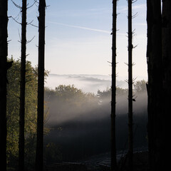 Fototapeta na wymiar Herbstmorgen im Bergischen Land