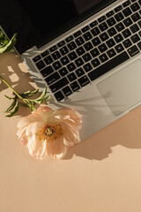 Flatlay laptop computer and gentle peony flower casting sunlight shadow on peach background. Top...