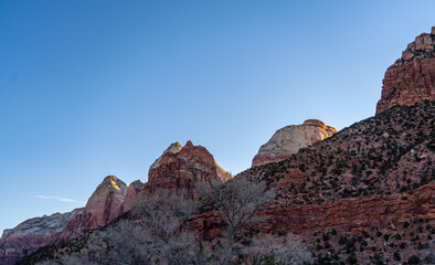 Looking up to Large Mountains Peak During Sunrise In Zion National Park