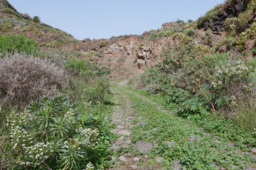 Wanderweg Barranco de Tenoya auf Gran Canaria