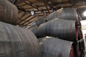 wine barrels in Madeira