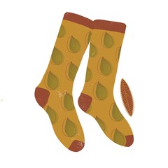 Socks illustration autumn fall flat style white background pears simple yellow pair of fashion cozy modern icon sock clothing