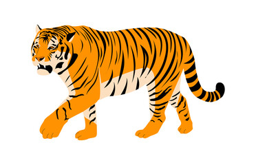 Tiger on a white background. Isolated. Vector flat illustration
