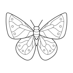 Vector hand drawn butterfly. Line art illustration for coloring book. Anti stress hobby.