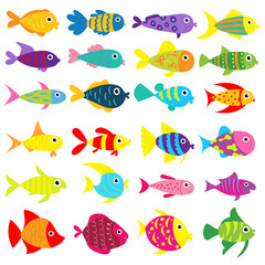 Naklejka premium fish set flat design , cartoon , isolated vector