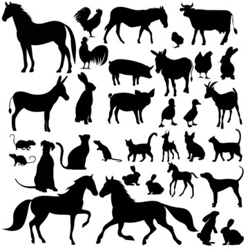 pets set silhouette on white background, isolated vector