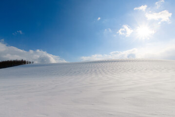 北海道美瑛の丘