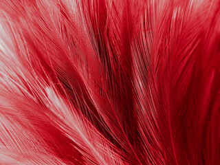 Beautiful abstract red feathers on black background, yellow feather texture on colorful pattern and red background, orange feather wallpaper, love theme, wedding valentines day, red gradient