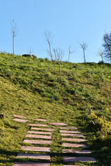 Obraz premium Combination of blue and green. The way to the sky. Landscape photos.