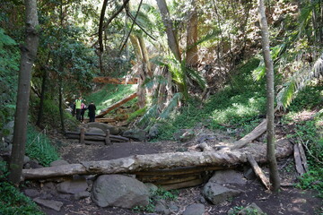 Wanderweg durch Barranco de Ojero bei Teror auf Gran Canaria