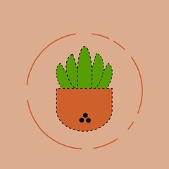 cactus in a pot