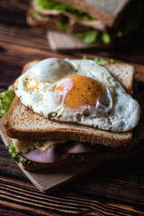 Food photos sandwich 