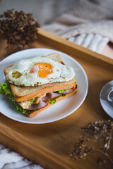 Food photos sandwich 