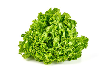 Obraz na płótnie Canvas Salad leaf. Lettuce, isolated on white background. High resolution image.